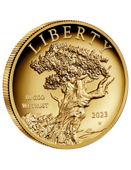 American Liberty 2023 (High Relief)