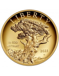 American Liberty 2023 (High Relief)