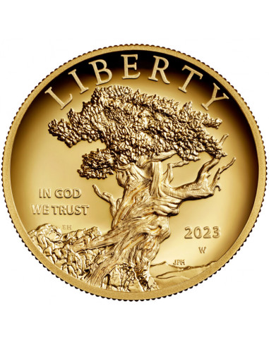 American Liberty 2023 (High Relief)