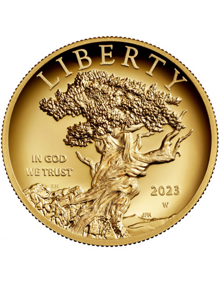 American Liberty 2023 (High Relief)