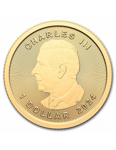Canada Foglia d'Acero 1 Dollaro (FIOR DI CONIO) 2