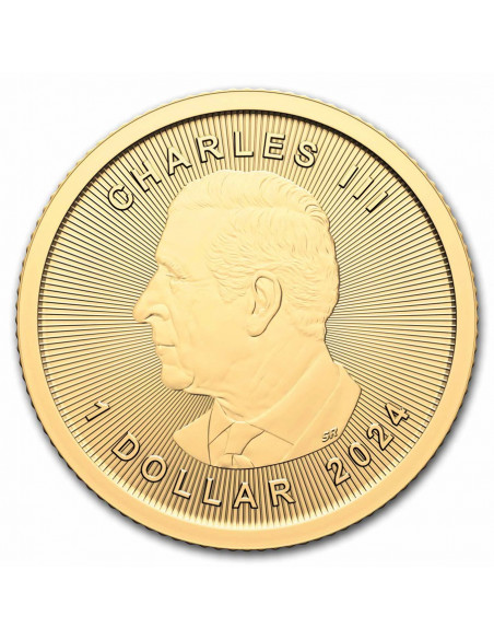 Canada Foglia d'Acero 1 Dollaro (FIOR DI CONIO)