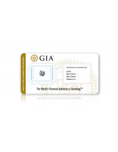 Diamante Naturale Certificato Res Realia 2