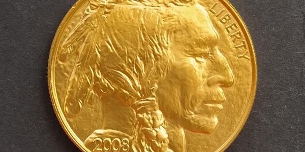 50 DOLLARI USA “American Bufalo”
